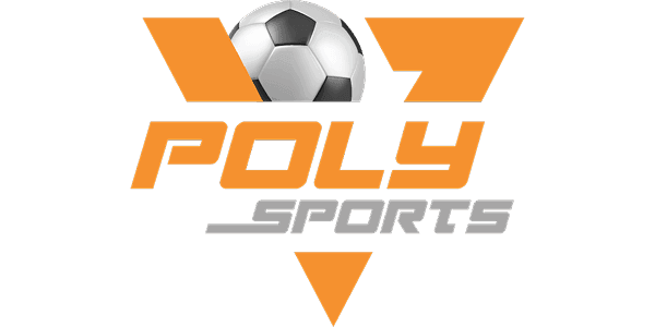 পলিম্যাটিক প্লে logo